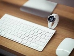 荣耀手环zero新春臻美礼乐享健康金猴年