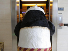 功夫熊猫阿宝入职UC 互联网跨界这样玩