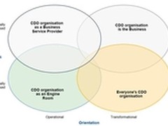 Gartner：如何定位CDO首席数据官