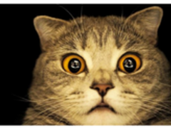 员工培训是防范APT攻击的重要一步