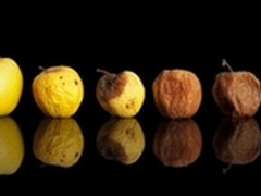 深度解析生鲜电商出路在哪？