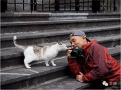 小技巧 | 拍摄喵星人的10个小贴士