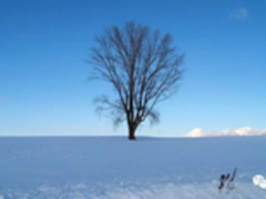 美景因文化而存在，切莫因朋友圈而消失