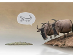 亚信安全提醒：APT防范要当心“水坑”