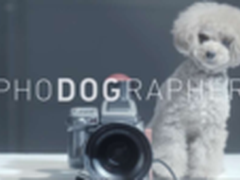 黑汪白汪 只有会拍照的才是好汪星人