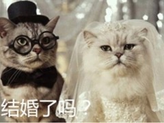 不爱差不多先生 结婚这件事我不将就