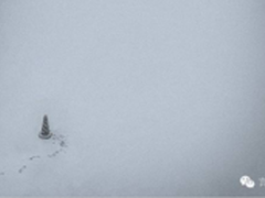 如何在雾霾天气拍出简约派艺术照