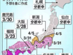 又到一年樱花季日本赏花攻略及拍摄指南