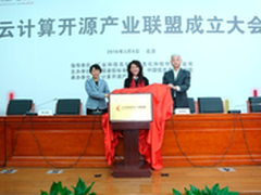 再掀开源热潮 云计算开源产业联盟成立