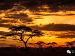 抱怨自己拍的不好 学学怎么找到好景点