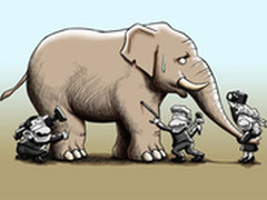 来回答一个问题：你认为SDN到底是什么