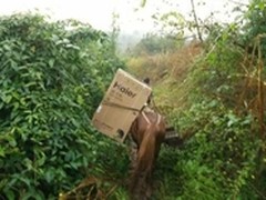 大山深处马铃响 蜀道村前迎来海尔人