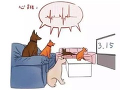 央视315晚会“雷神之锤”挥互联网企业