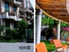 HDR成最新风向标 OLED电视再领画质革命