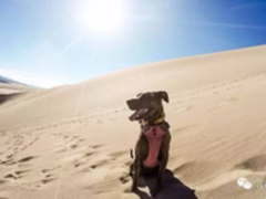 如果生命就这样结束，我选择这样去面对