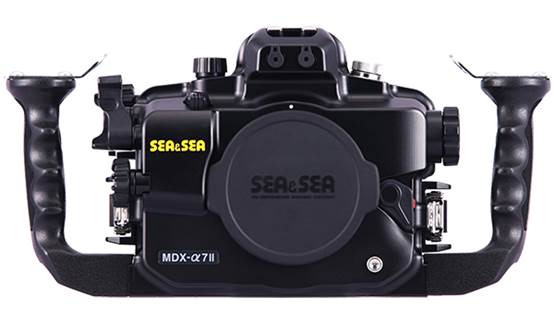 索尼微单a7r2摄影作品|索尼全画幅微单a7rii马