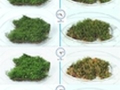 卡萨帝视频鉴证下的硬风到软风时代变革