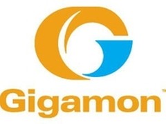 Gigamon推出专业服务伙伴计划