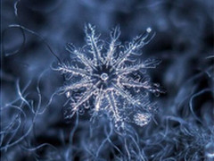 “智能微尘”：助推物联网应用的关键