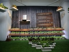 厨房经济崛起 老板电器ROKI领健康生活