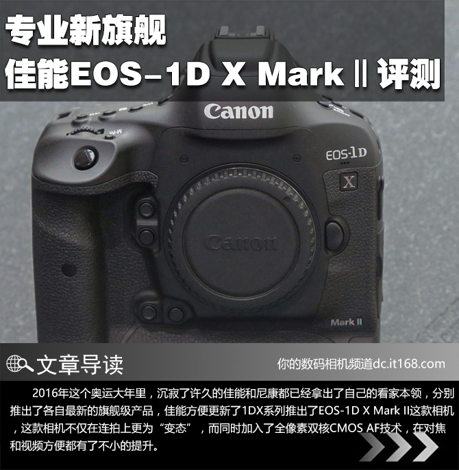 专业新旗舰 佳能EOS-1D X MarkⅡ评测