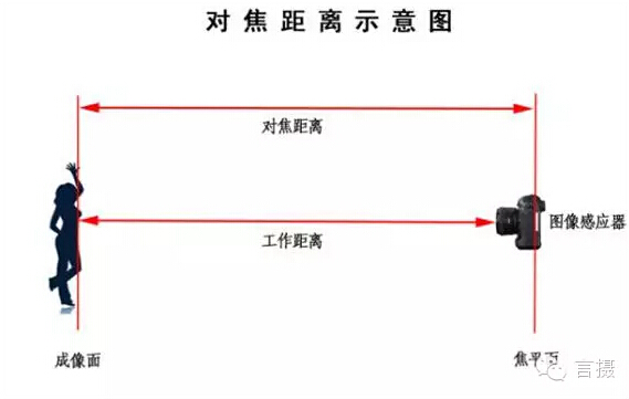 你的相机离花不能再近？让微距来帮你