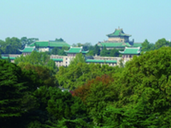 武汉大学：最美大学最美网络