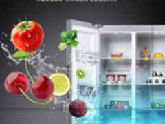 西门子KA92NV66TI双开门变频冰箱怎么样