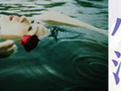 奥司汀空气净化器夏日家装污染必备神器