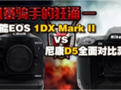 佳能EOS-1DX II VS 尼康D5全面对比测评