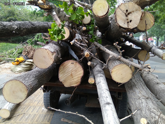 成像素质属于主流水平 小米Max相机评测-149