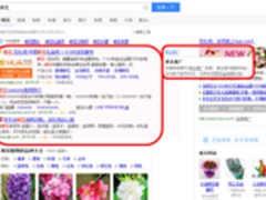 艾德思奇率先发布百度SEM变化追踪报告