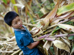 真的抱歉！我不会再缺席你的人生