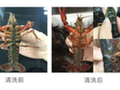 方太 JBSD2T-X1水槽洗碗机怎么样