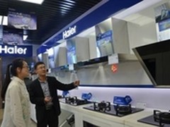 吸油烟机整机10年免费包修仅海尔1家