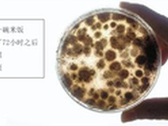 奥司汀空气净化器夏季使用怎么样? 