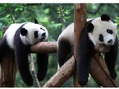 奥克斯新品曝光!