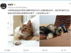 F2.0大光圈 红米Pro双镜头样张曝光