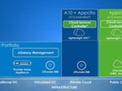 应用交付厂商A10宣布收购Appcito