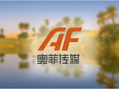 共创价值 新华三绿洲生态之奥菲传媒