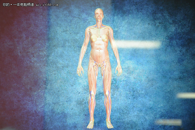 特色应用4——4D人体解剖教学（Anatomy4D）