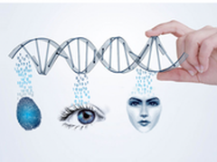 移动支付拥抱人脸识别、指纹识别等技术