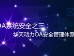 OA系统之三：华天动力OA安全管理体系