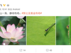 努比亚拍照黑科技 倪飞曝新机微距样张