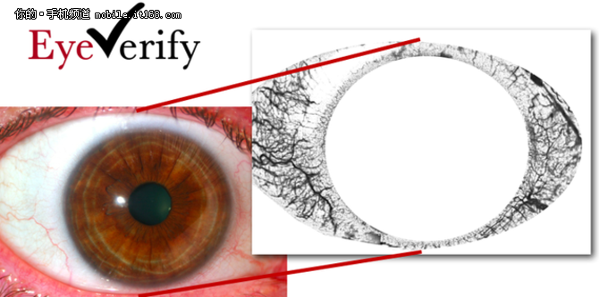 都是刷眼 虹膜识别与眼纹识别有何不同
