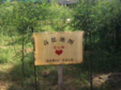 高德地图举办“爱心林计划”公益活动