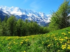 行摄瑞士：上帝就住在这块土地上