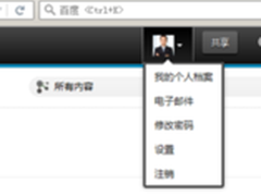 技术解析：IBM Connections功能扩展