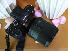 数毛利器 索尼FE 50mm F1.4 ZA实拍体验