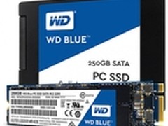 西数蓝盘、绿盘SSD VS希捷2TB、5TB硬盘